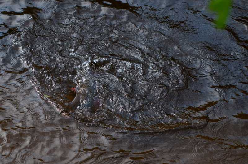 Szlakiem czerwonej drogi